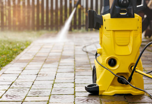Best Roof Cleaning and Mildew Removal in Mount Pulaski, IL